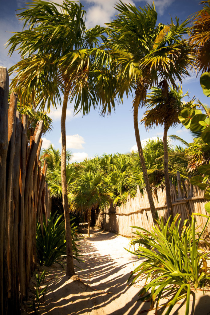 MSalvaing_CC_Tulum_Residence_Exterior-0193