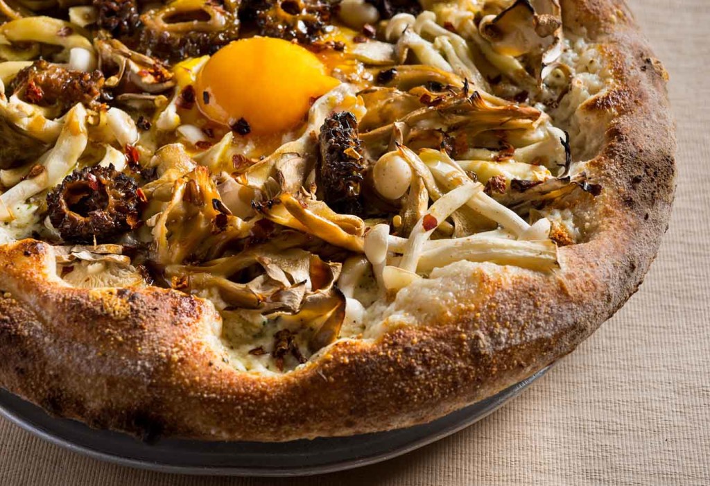 Mushroom pizza